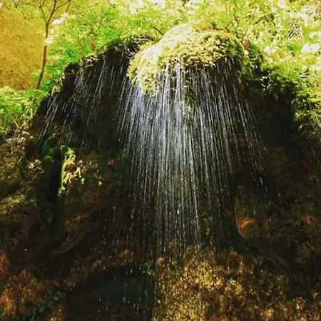 شقة فندقية Le Ginestre